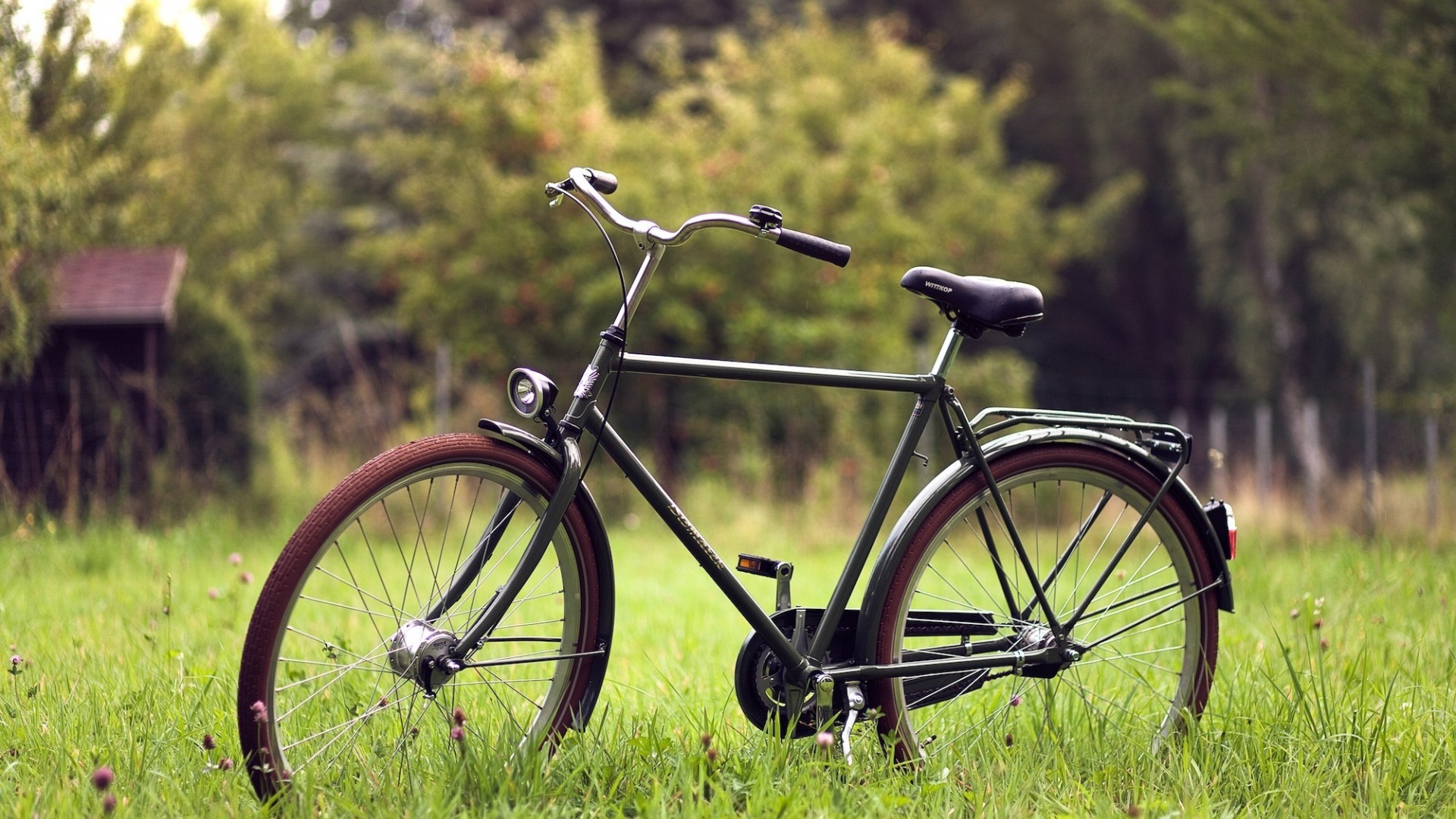 Bike in field